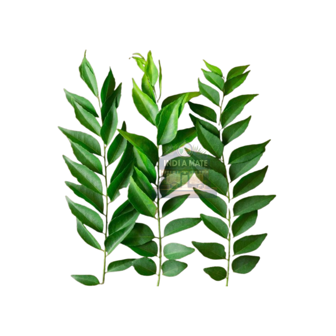 Green leaves with 'Kidia Mate' branding on a white background